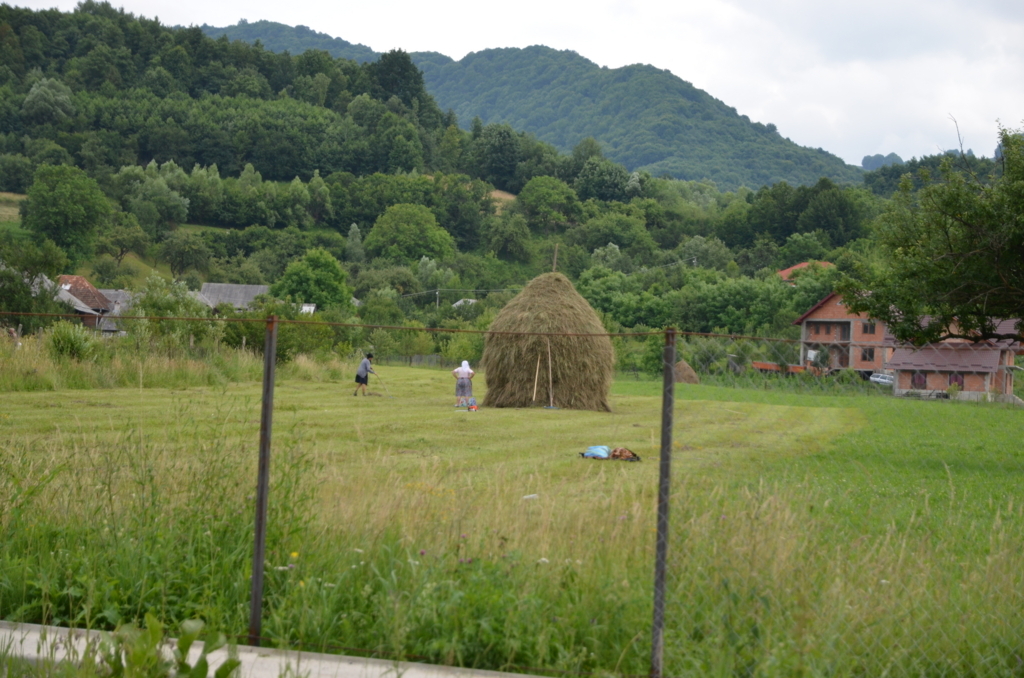 f:id:fumicicci:20170703164547j:plain