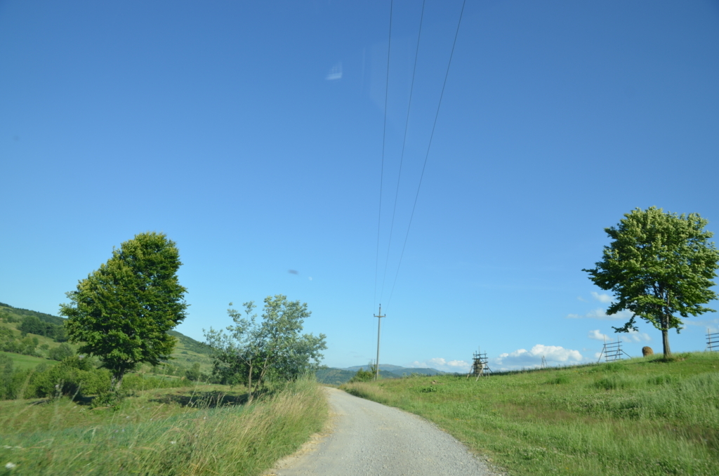 f:id:fumicicci:20170704182130j:plain f:id:fumicicci:20170704182130j:plain