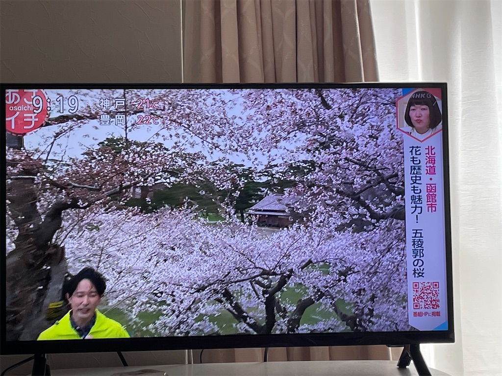 f:id:fumifumi6014:20250429223716j:image