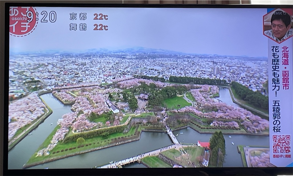 f:id:fumifumi6014:20250429223723j:image