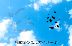 f:id:fumifuminet:20190416162353j:plain f:id:fumifuminet:20190416162353j:plain
