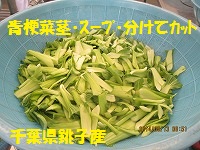 f:id:fumihama_lunch:20140313143247j:image
