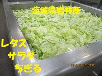 f:id:fumihama_lunch:20140314133853j:image