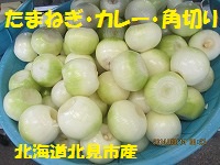 f:id:fumihama_lunch:20140314133858j:image