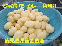 f:id:fumihama_lunch:20140314133901j:image