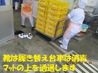 f:id:fumihama_lunch:20140314134254j:image