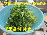f:id:fumihama_lunch:20140317135501j:image