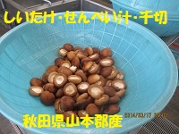 f:id:fumihama_lunch:20140317135622j:image