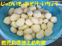 f:id:fumihama_lunch:20140319120716j:image