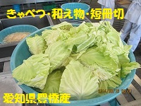 f:id:fumihama_lunch:20140319120718j:image