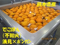 f:id:fumihama_lunch:20140319120838j:image