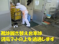 f:id:fumihama_lunch:20140319132018j:image