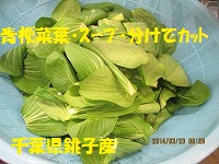 f:id:fumihama_lunch:20140320140650j:image