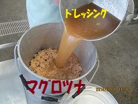 f:id:fumihama_lunch:20140320141229j:image