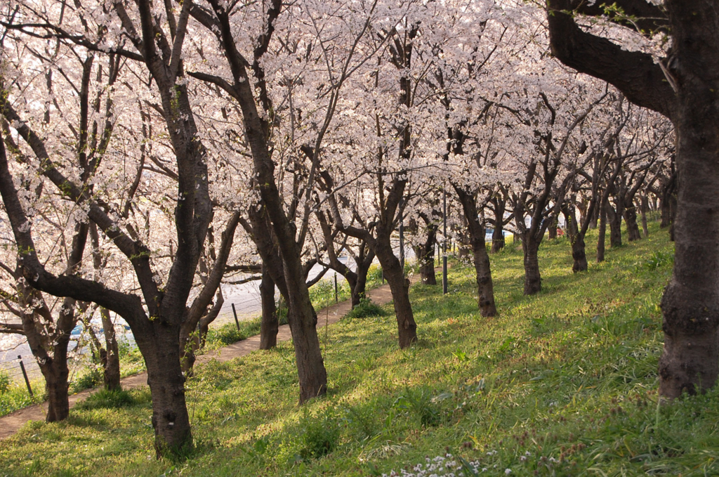 f:id:fumihiro1192:20160306191553j:plain f:id:fumihiro1192:20160306191553j:plain