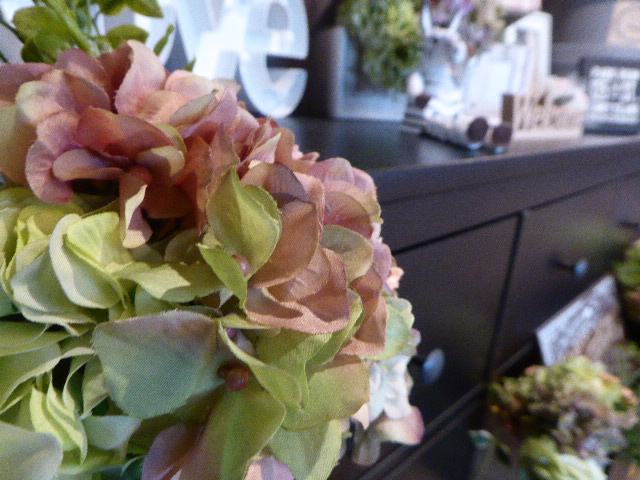 f:id:fumihiro1192:20171111230740j:plain