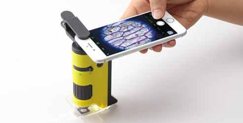 f:id:fumihiro1192:20180804200836j:plain