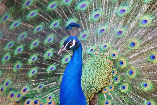 f:id:fumihiro1192:20180824190820j:plain