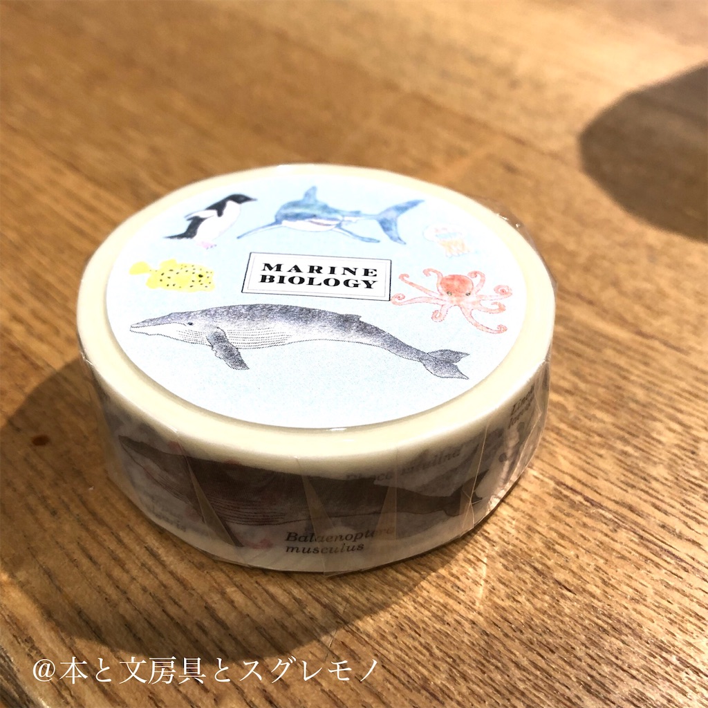 f:id:fumihiro1192:20190607191352j:image