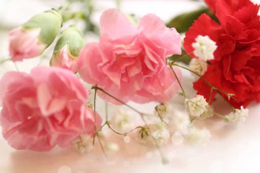 f:id:fumihiro1192:20190725193656j:plain