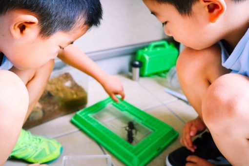 f:id:fumihiro1192:20190813090358j:plain f:id:fumihiro1192:20190813090358j:plain