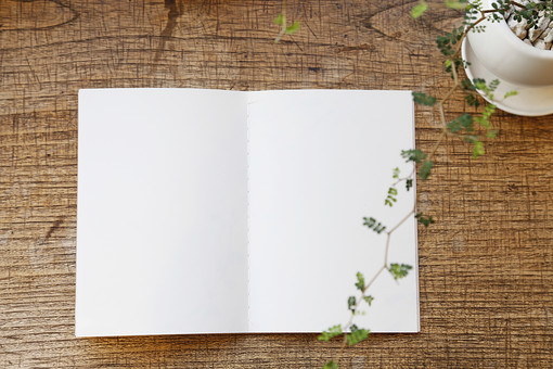 f:id:fumihiro1192:20190822205726j:plain