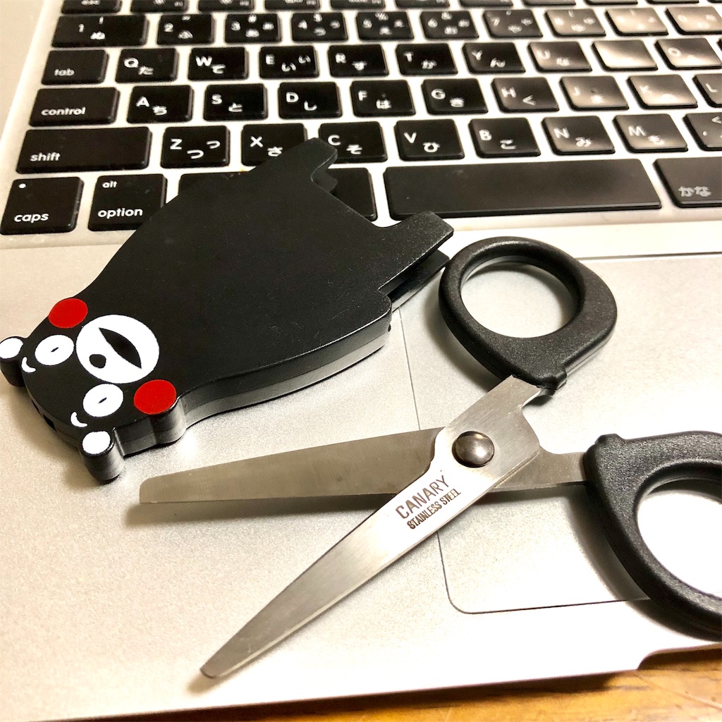 f:id:fumihiro1192:20191010202056j:image f:id:fumihiro1192:20191010202056j:image