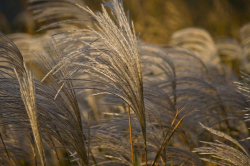 f:id:fumihiro1192:20191022201036j:plain f:id:fumihiro1192:20191022201036j:plain