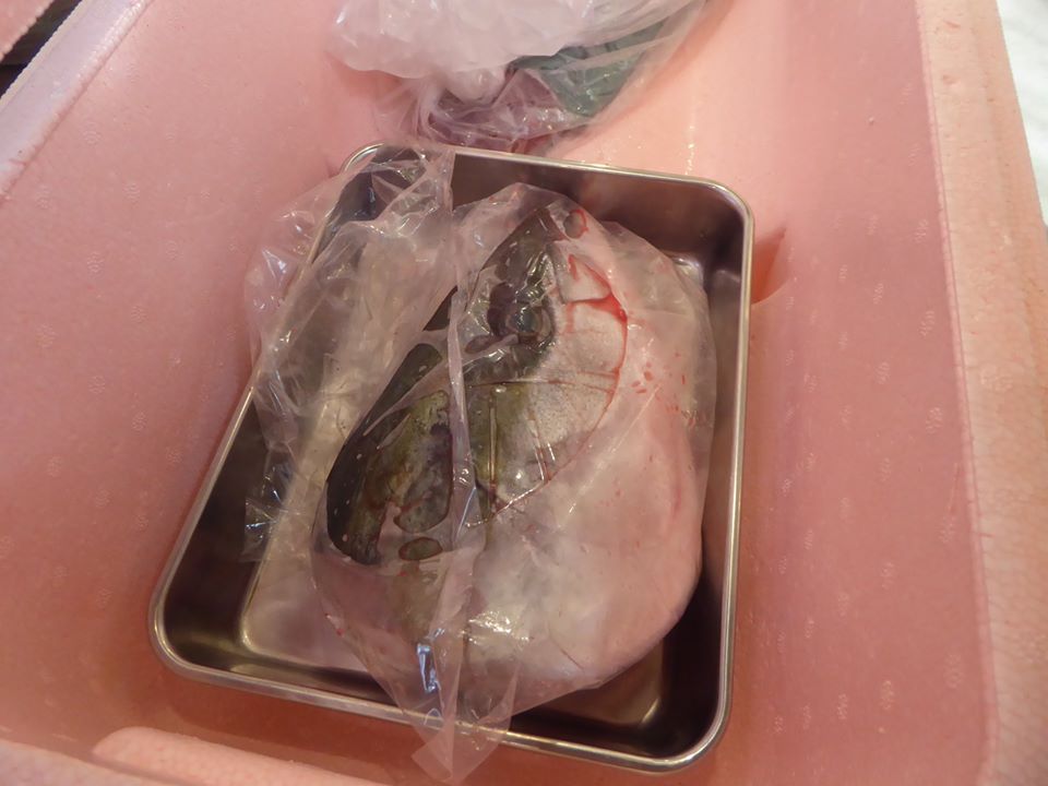 f:id:fumihiro1192:20191223194123j:plain f:id:fumihiro1192:20191223194123j:plain