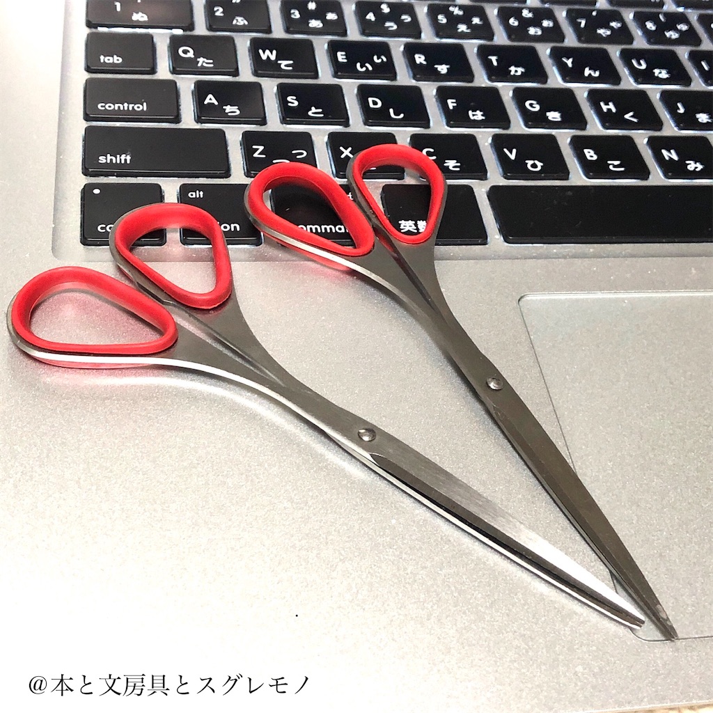 f:id:fumihiro1192:20200601213254j:image