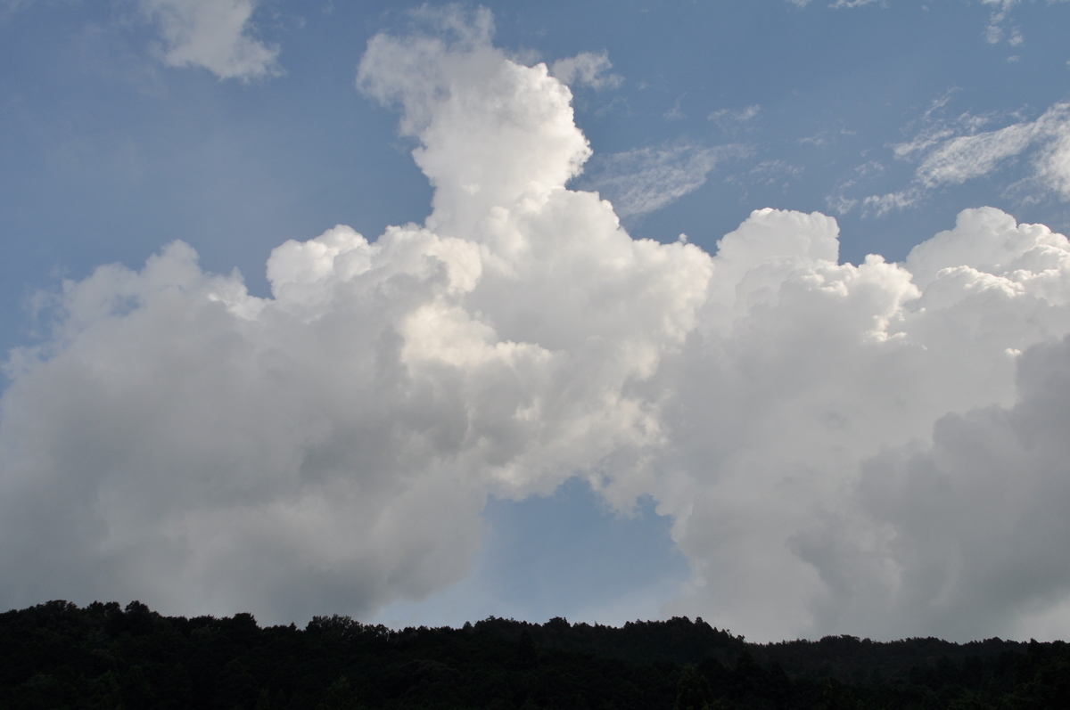 f:id:fumihiro1192:20200822200947j:plain