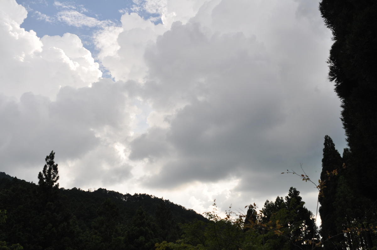 f:id:fumihiro1192:20200822200958j:plain