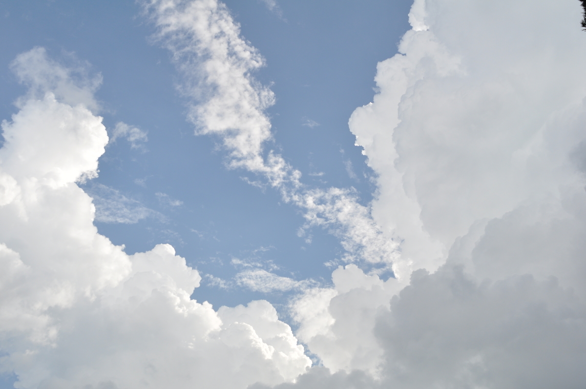 f:id:fumihiro1192:20200822201009j:plain