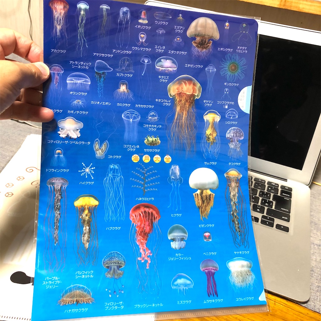 f:id:fumihiro1192:20201007192932j:image