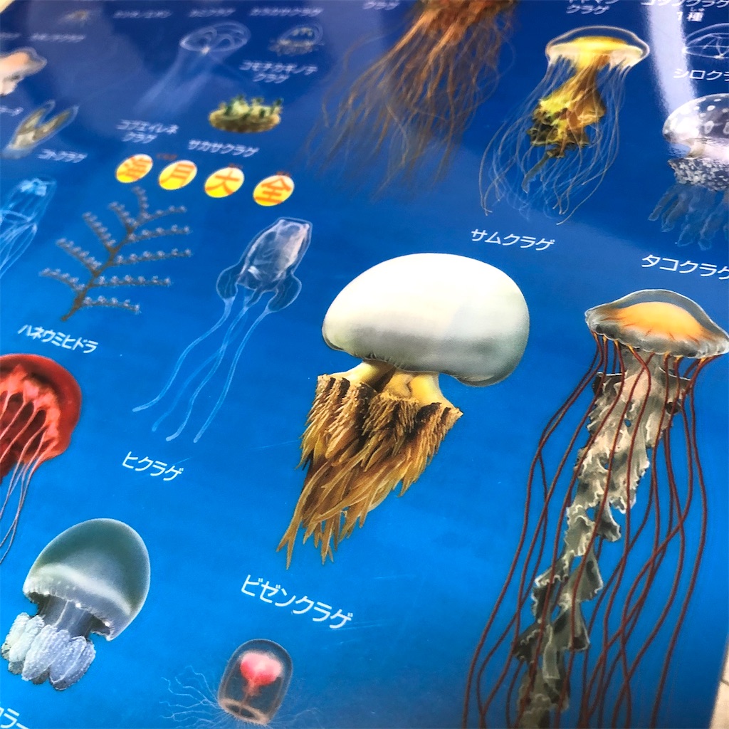 f:id:fumihiro1192:20201007192935j:image