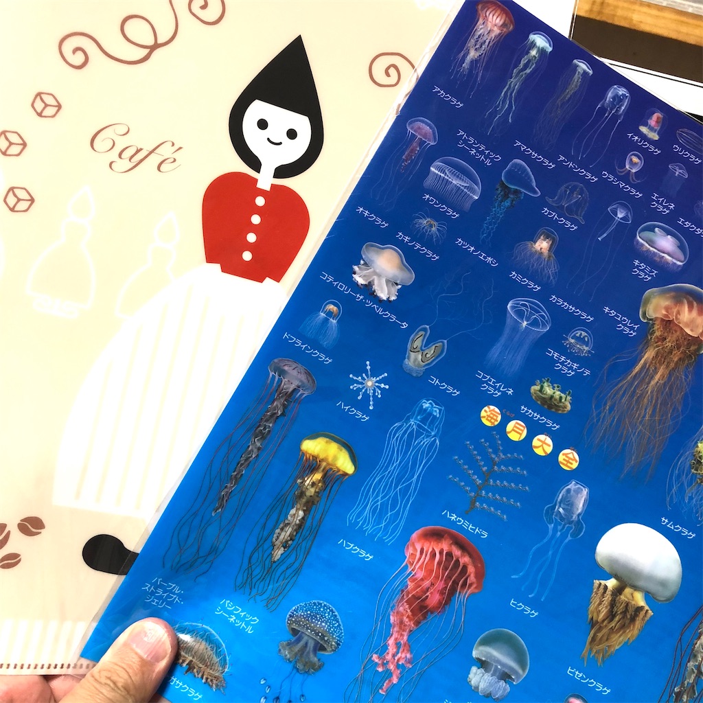 f:id:fumihiro1192:20201007192938j:image