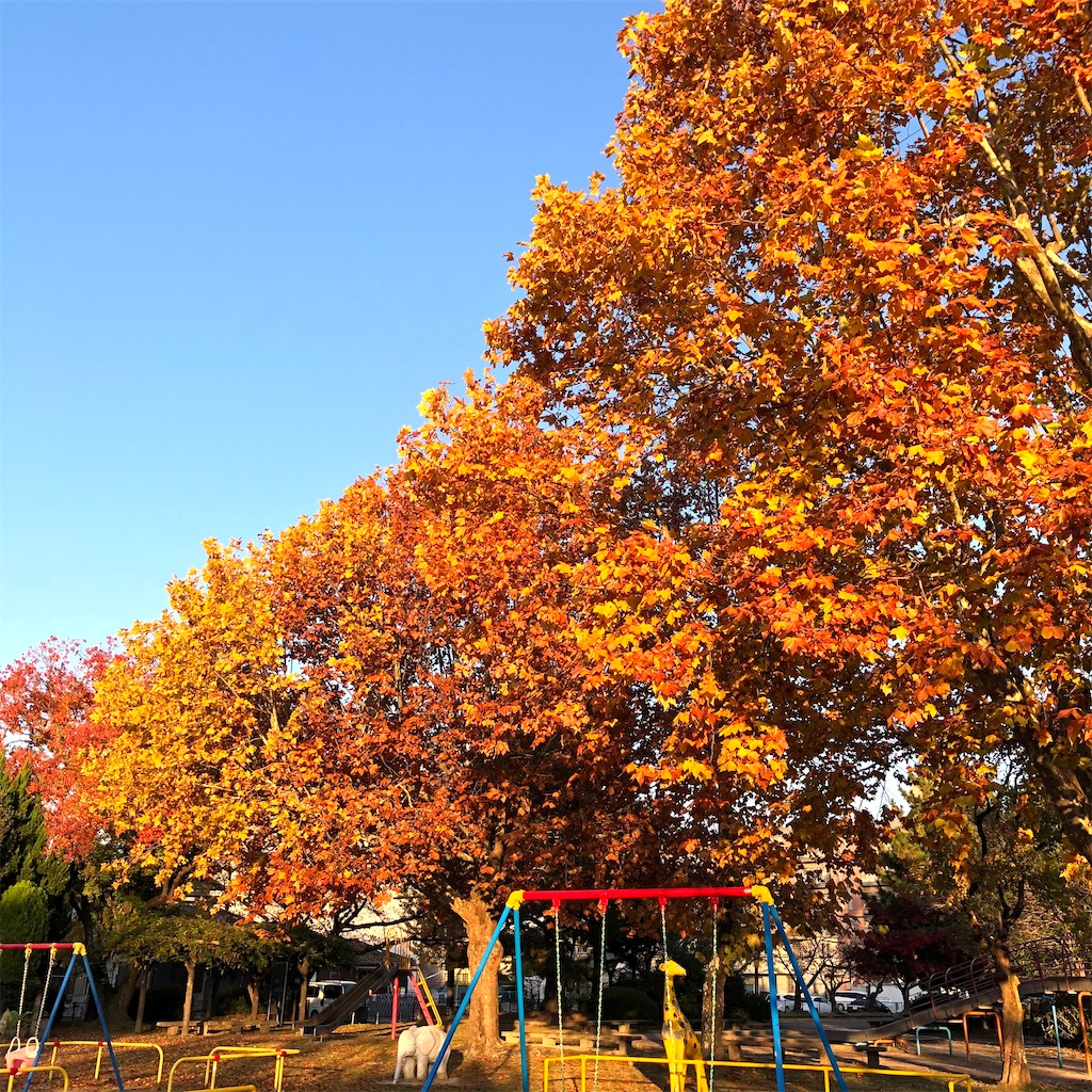 f:id:fumihiro1192:20201114085339j:image f:id:fumihiro1192:20201114085339j:image