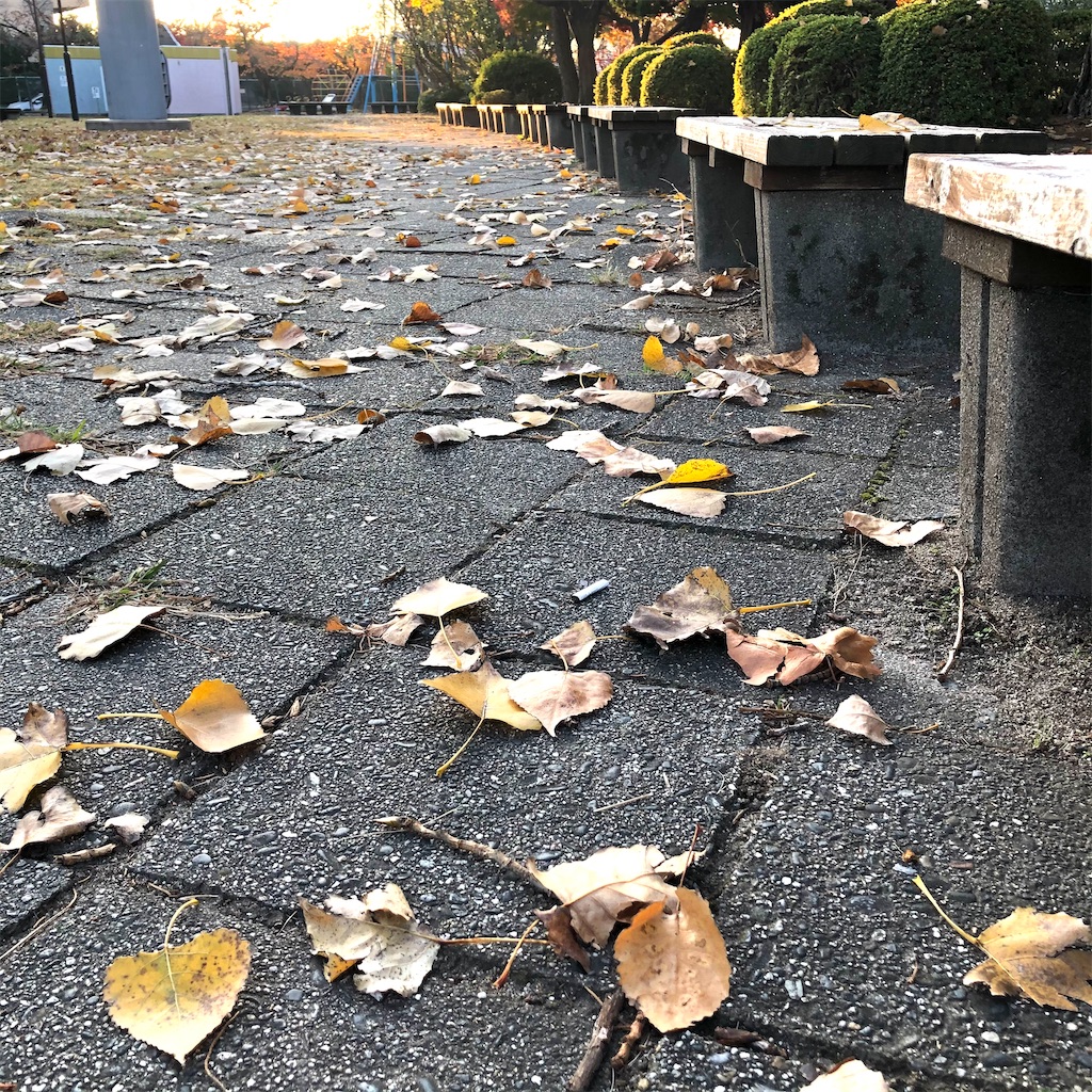 f:id:fumihiro1192:20201114085351j:image f:id:fumihiro1192:20201114085351j:image