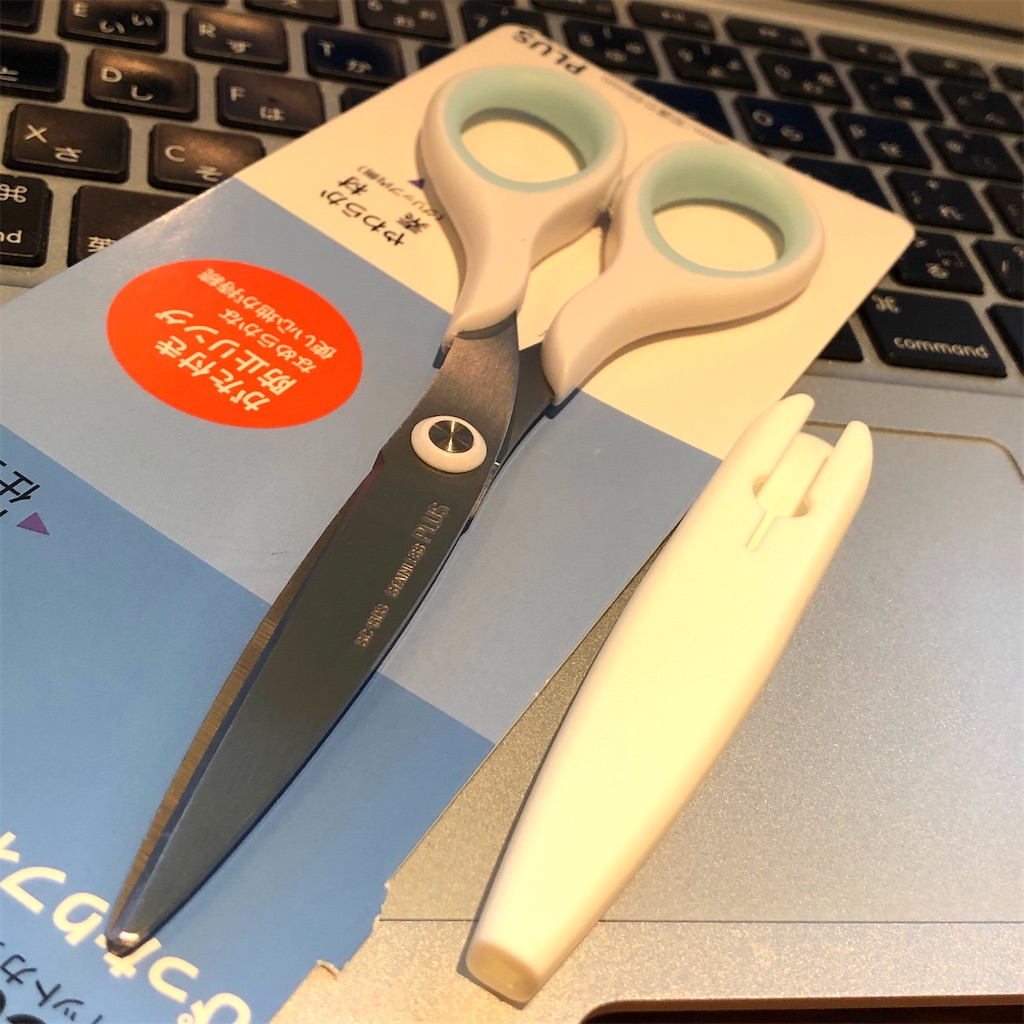 f:id:fumihiro1192:20210112142854j:image f:id:fumihiro1192:20210112142854j:image