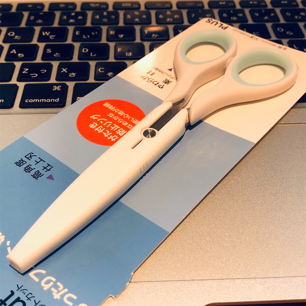 f:id:fumihiro1192:20210112142909j:image f:id:fumihiro1192:20210112142909j:image