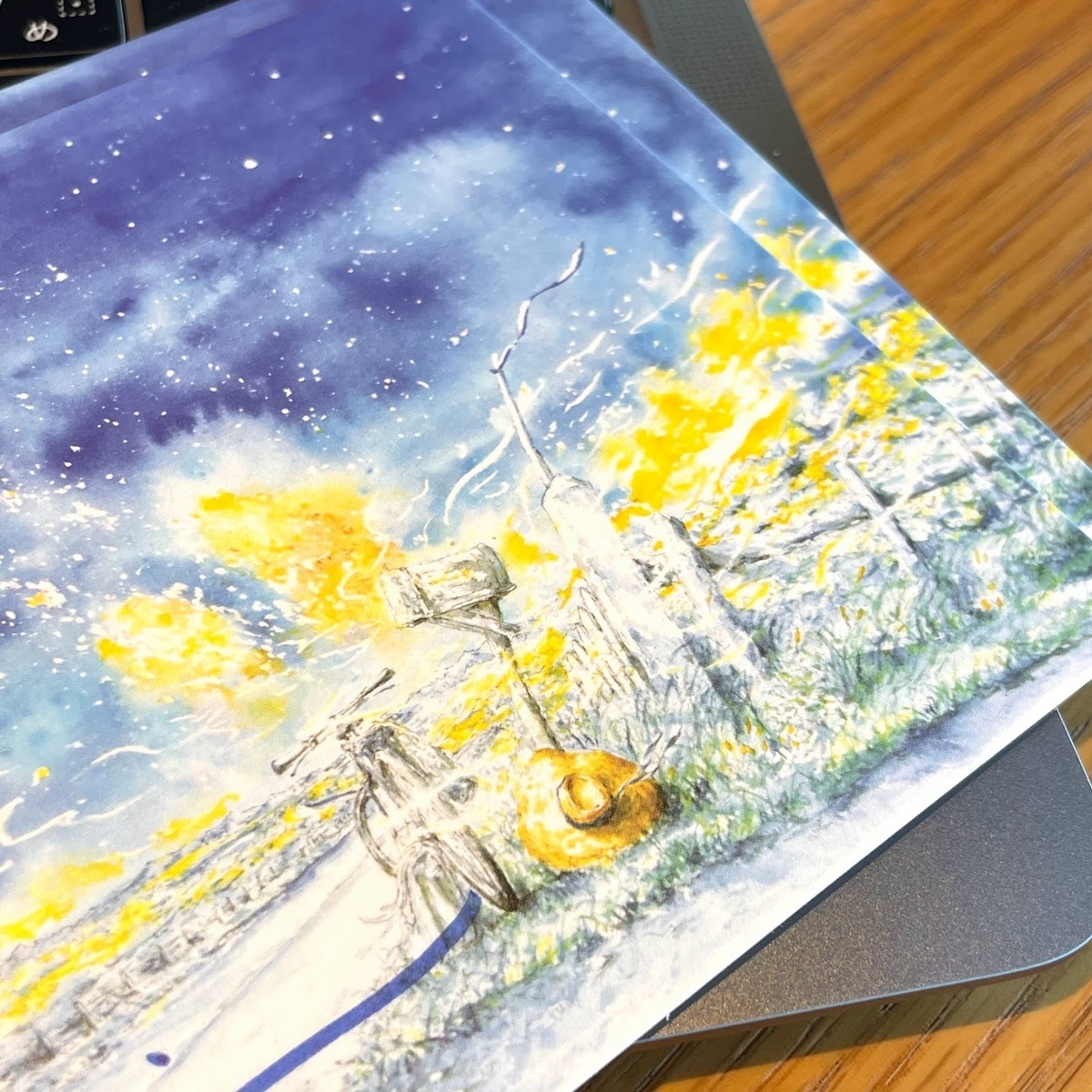 蛍の海（ほたるのうみ）」内田新哉さんのポストカードで、先着5名に