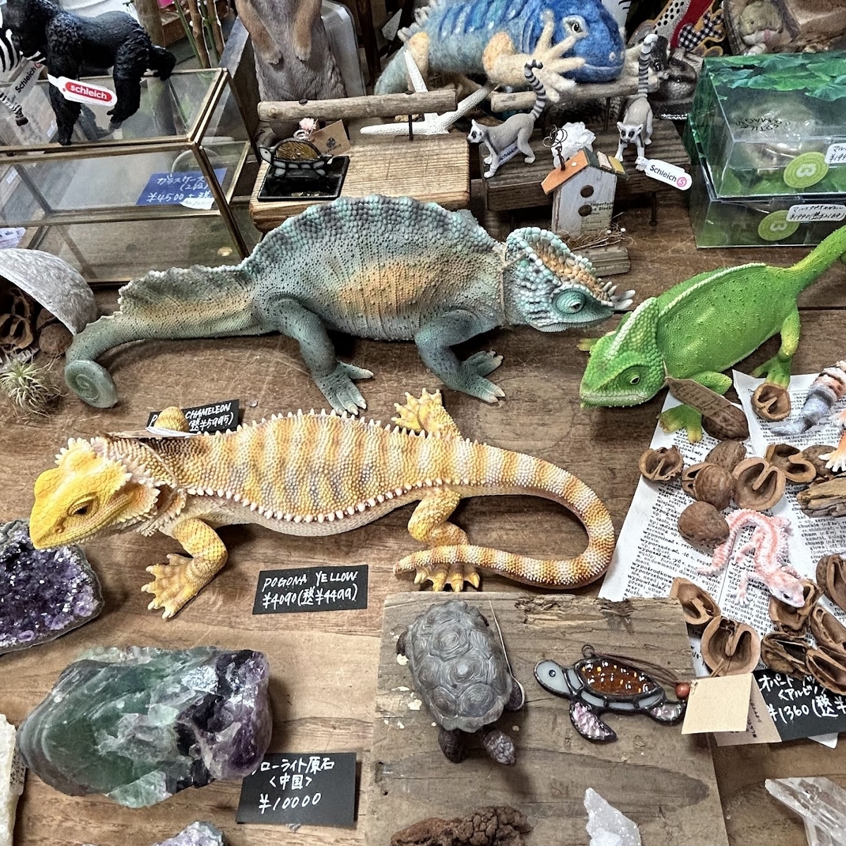 愛知県瀬戸市】鉱物と貝殻と動物モチーフの雑貨屋「ボクノトリノス