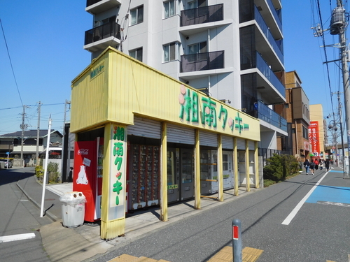 f:id:fumikoyamamoto:20190703070150j:plain f:id:fumikoyamamoto:20190703070150j:plain