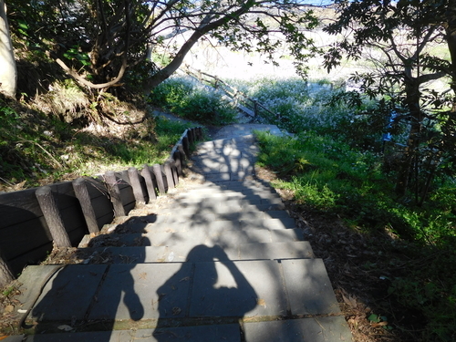 f:id:fumikoyamamoto:20190715124640j:plain f:id:fumikoyamamoto:20190715124640j:plain