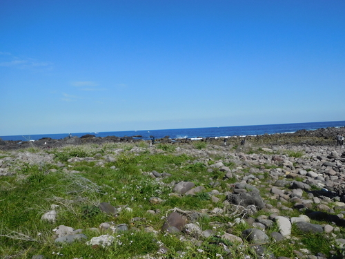 f:id:fumikoyamamoto:20190715124658j:plain f:id:fumikoyamamoto:20190715124658j:plain
