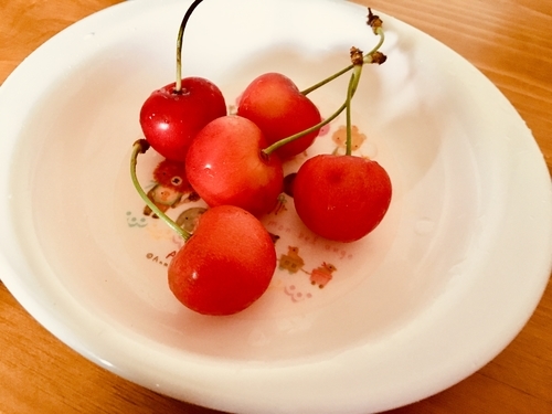 f:id:fumikoyamamoto:20190719182759j:plain f:id:fumikoyamamoto:20190719182759j:plain