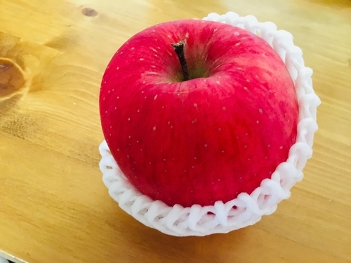 f:id:fumikoyamamoto:20190720213713j:plain f:id:fumikoyamamoto:20190720213713j:plain