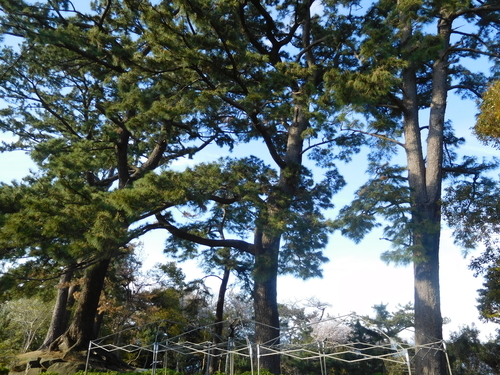 f:id:fumikoyamamoto:20190720215545j:plain f:id:fumikoyamamoto:20190720215545j:plain