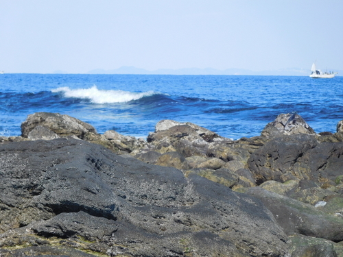 f:id:fumikoyamamoto:20190720223526j:plain f:id:fumikoyamamoto:20190720223526j:plain