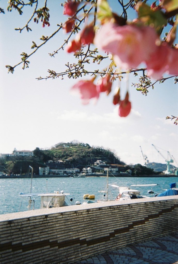 f:id:fumilk:20200321051102j:image f:id:fumilk:20200321051102j:image